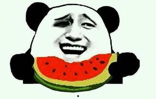 二哈碰拳吃瓜群众视频,吃瓜群众笑翻现场