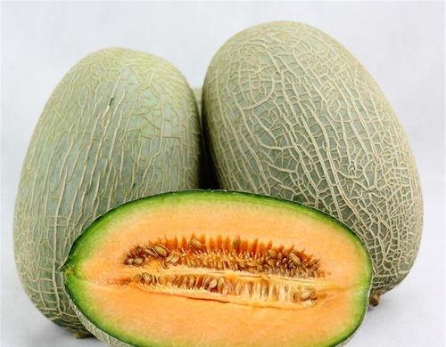 给鳄鱼吃哈密瓜视频大全,哈密瓜盛宴视频集锦