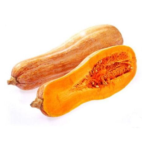 吃方瓜的好处和坏处视频,全面解析吃方瓜的好处与风险