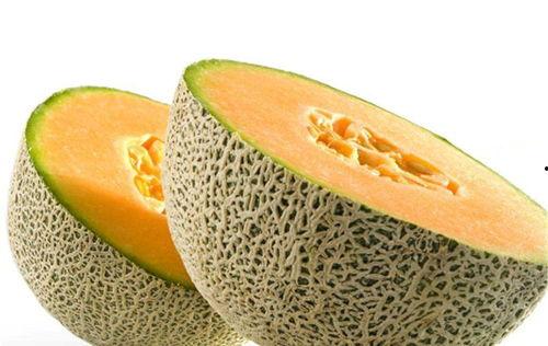 美食博主吃蜜瓜视频,美食博主带你领略夏日清新美味