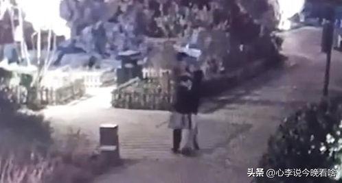 兰州老城吃瓜事件视频,一场视觉盛宴背后的文化现象