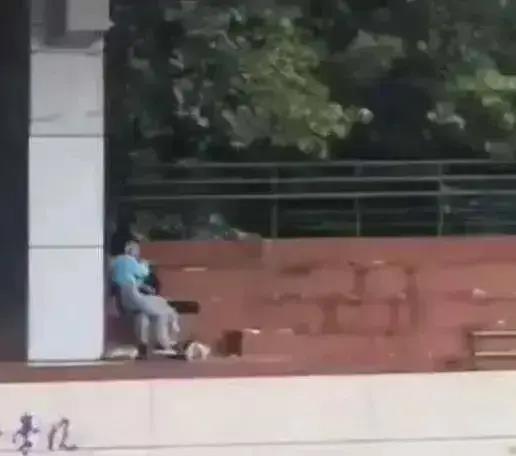 拆迁后吃瓜的视频,揭秘拆迁背后的故事