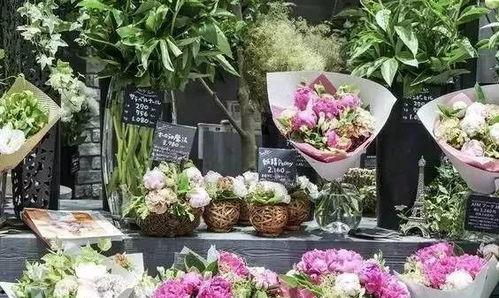 花店最新吃瓜视频大全,趣味横生，笑料百出！