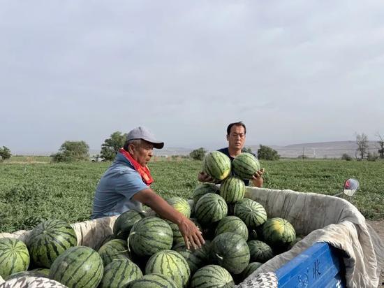 从哪看太和吃瓜视频,带你走进娱乐圈的幕后故事