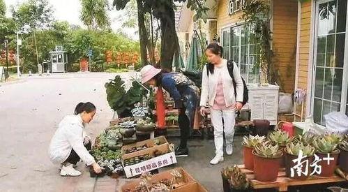 临海花店老板吃瓜事件视频,视频走红网络